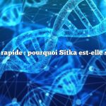 Réponse rapide : pourquoi Sitka est-elle si chère ?